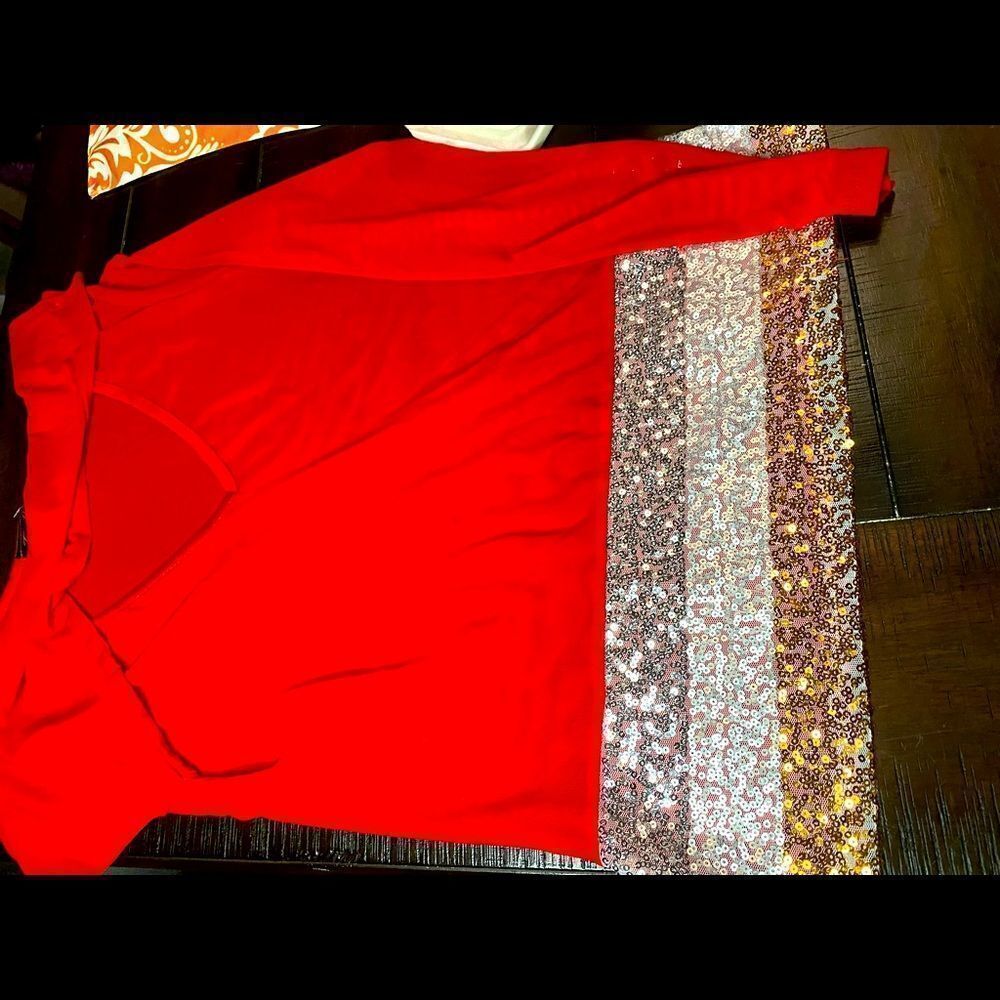 Sequin Mesh V-Neck Long Sleeve Top